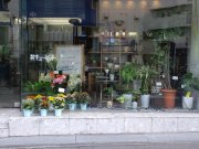 「しんかえん」　（兵庫県尼崎市）の花屋店舗写真1