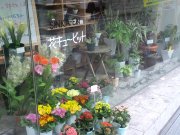 「しんかえん」　（兵庫県尼崎市）の花屋店舗写真2